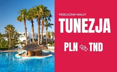 Obraz do artykułu: Wyjazd do Tunezji: Dinary, euro czy dolary? Sprawdź przelicznik i zasady, których musisz przestrzegać
