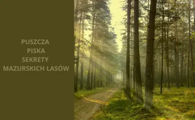 Puszcza Piska - Skarb Mazurskich Lasów