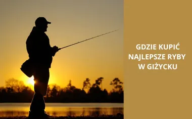 Gdzie kupić najlepsze ryby w Giżycku?