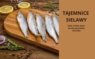 Tajemnice sielawy  ryba, która kryje długą mazurską historię