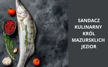 Sandacz  kulinarny król mazurskich jezior