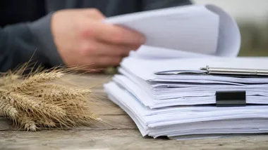 Wywóz ziemniaków z Polski pod nadzorem. PIORiN przypomina o zasadach