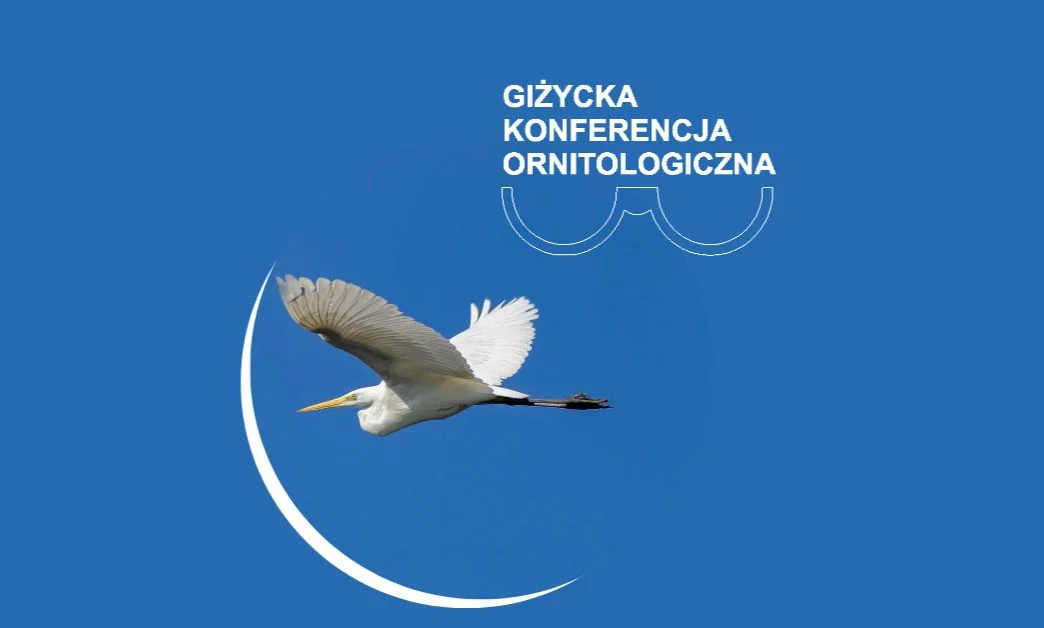 Grafika promocyjna wydarzenia Konferencja o ochronie i badaniach ptaków w Giżycku