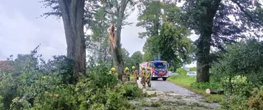 105 interwencji po przejściu frontu nad Giżyckiem. Drzewa spadały na auta