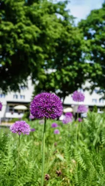 Nowe kwiaty przed Dniem Mamy. W Giżycku ruszyły miejskie nasadzenia
